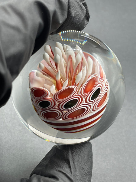 Joshua Justice - UV Jellyfish MIB
