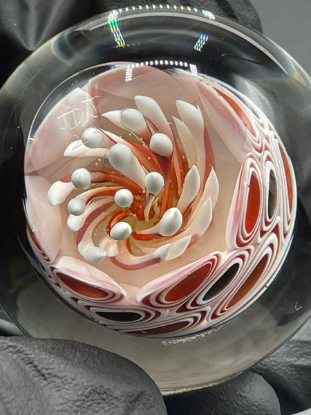 Joshua Justice - UV Jellyfish MIB