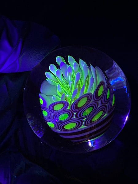Joshua Justice - UV Jellyfish MIB