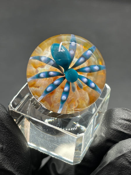 Florin Glass - Spider on Sand MIB + Stand