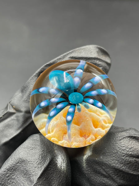 Florin Glass - Spider on Sand MIB + Stand