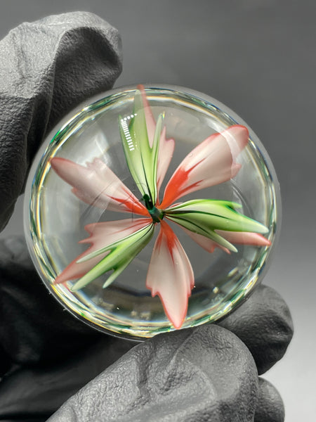 Mr Facets - Azalea MIB