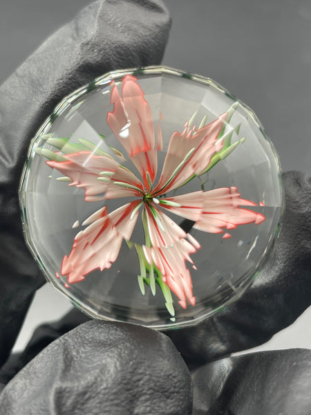 Mr Facets - Azalea MIB