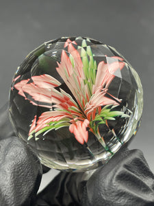 Mr Facets - Azalea MIB