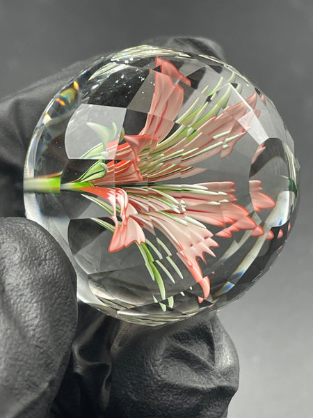 Mr Facets - Azalea MIB