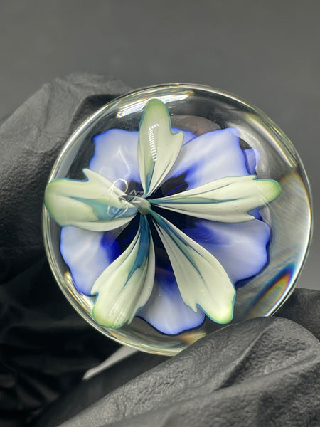 Mr Facets - Blue Rose MIB